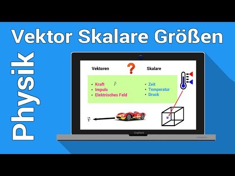 Vektor Skalar Unterschied | Größen und Einheiten | Physiknachhilfe