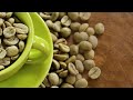 Distributor Superstockist wanted for Green Coffee Greenbrre