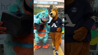 Akron Children's unveils new mascot, Pip