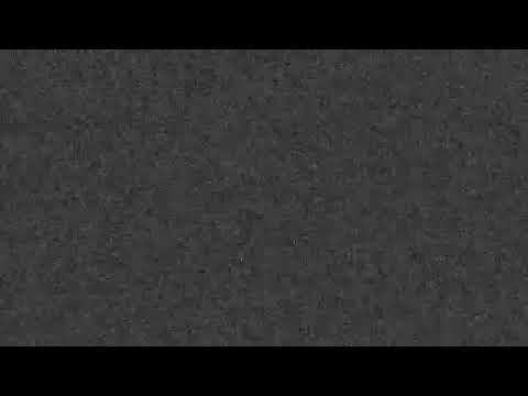 VDXA - Whale(S) on ACID