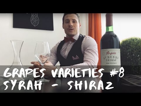 Grapes Varieties #8 | Syrah o Shiraz
