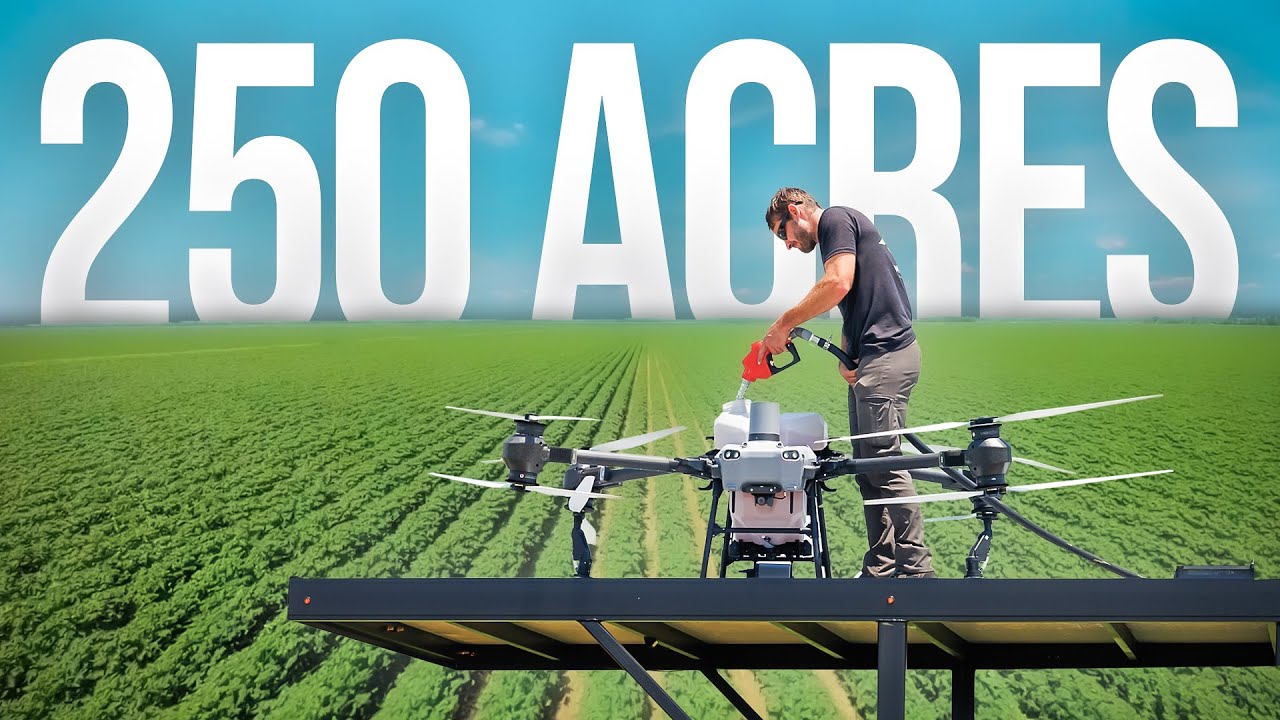 Spraying Cotton Fields | Super Efficient!