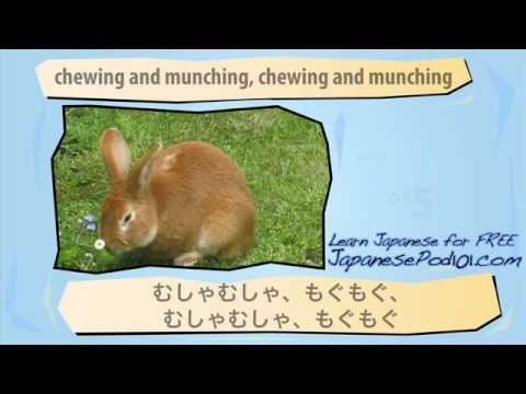 Japanese Listening Comprehension At a Japanese Bookstore