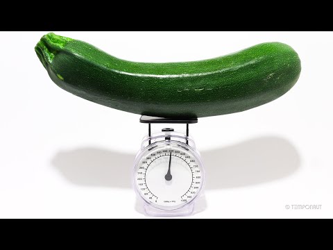 213 Days Zucchini Timelapse