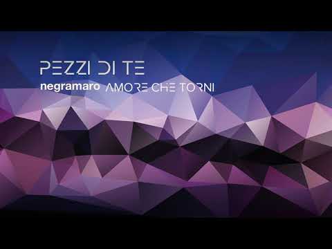 Video per il significato della canzone Pezzi di te di Negramaro