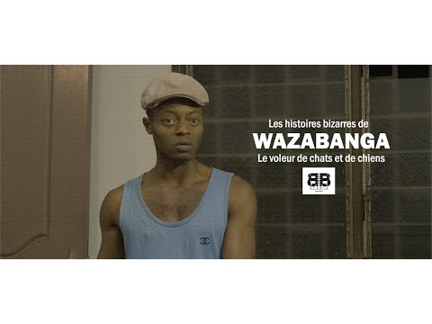 THE BIZARRE STORIES OF WAZABANGA _ The Cat and Dog Thief