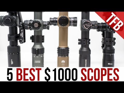 The 5 Best $1,000 Scopes