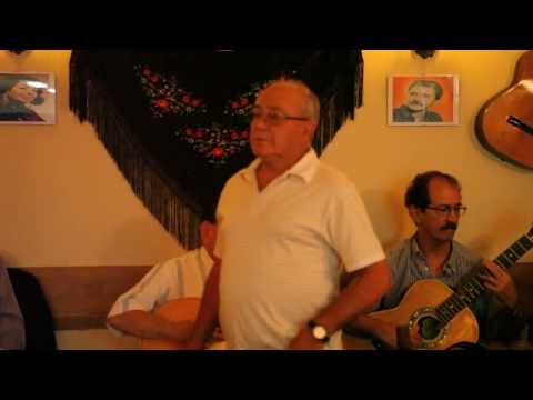Francisco Plácido, "Fado Pedro Rodrigues" - "Quando o peito tem saudade"