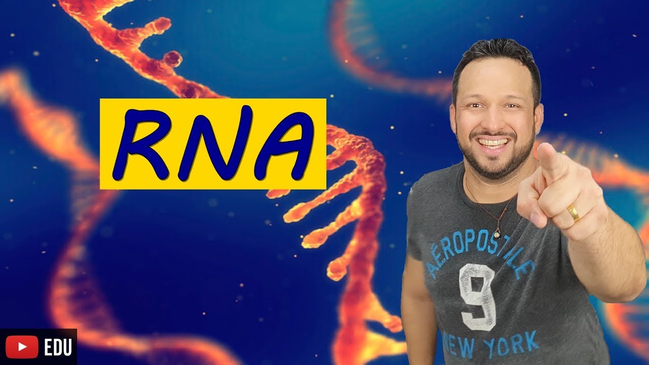 RNA (Ácido ribonucleico) - Bioquímica - Biologia com o Tubarão