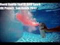 David Guetta Feat. DJ Alex Spark (Dj Project Sun ...