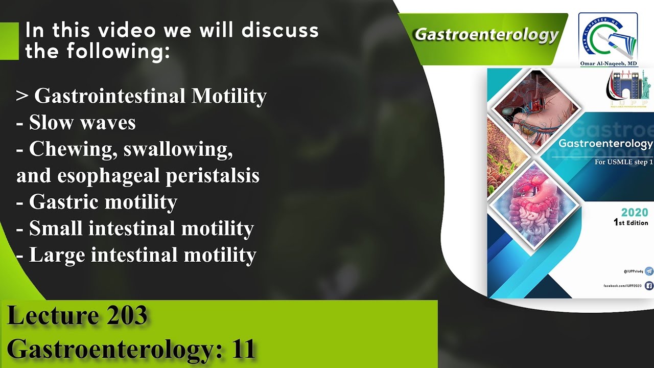 Gastrointestinal Motility | Chewing, swallowing, and esophageal peristalsis | Gastrocolic reflex