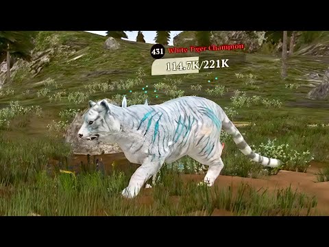 The Wolf - White Tiger Champion In Featured Green Hills 🏆