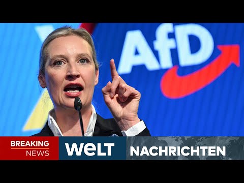 DEUTSCHLAND: Verbot der AfD? Partei will sich gegen Einstufung des Verfassungsschutzes wehren I WELT
