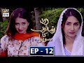 Zard Zamano Ka Sawera Episode 12 17th February 2018 ARY Digital