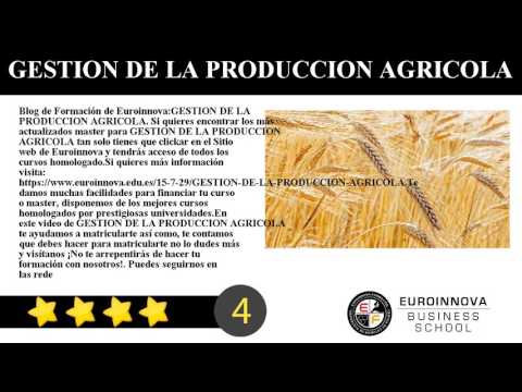 Cursos Youtube Online Euroinnova