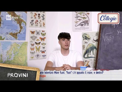 Provini: "Mare fuori" e dentro?  - Il Collegio 8