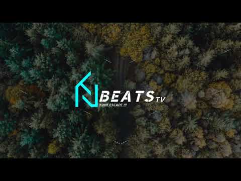 Mocentauri - Quenta [PLEK022]