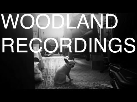 Woodland Recordings - Summer 2013