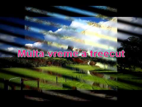 Fratii Budau vol 2 - Orbul Bartimeu