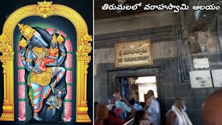 తిరుమలలో వరాహస్వామి ఆలయం/Varahaswamy Temple In Tirupati/tirumala varahaswamy story @ChantiSpecials