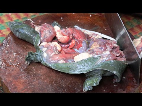Episode 2: How To Cook Soft Shell Turtle 2 Ways | Soft Shell Turtle Lemongrass