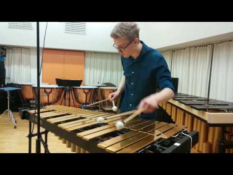 N. J. Zivkovic - Suomineito | played by L. Waltersdorfer