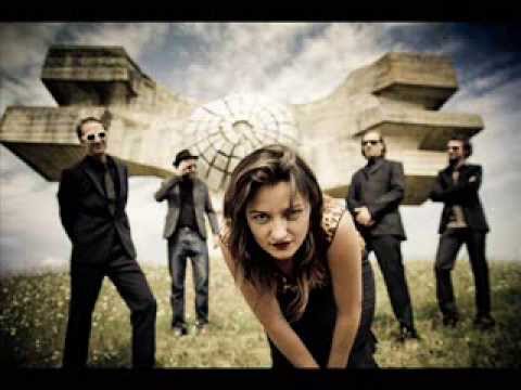 Zykopops - Zajko Kokorajko