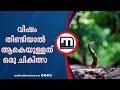 വിഷം തീണ്ടിയാൽ ആകെയുള്ളത് ഒരു ചികിത്