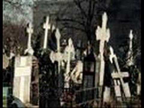 George Nicolescu-Foaie verde spic