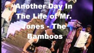 Another Day In The Life Of Mr. Jones - The Bamboos