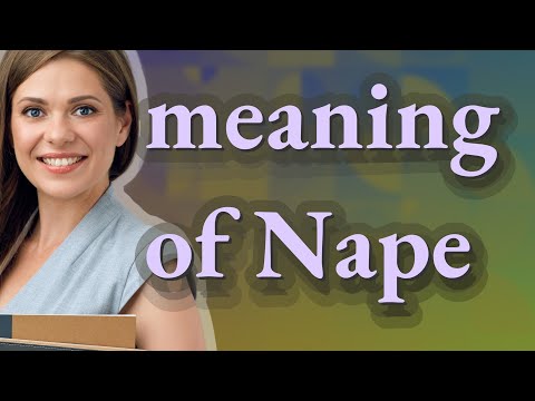 Nape | meaning of Nape