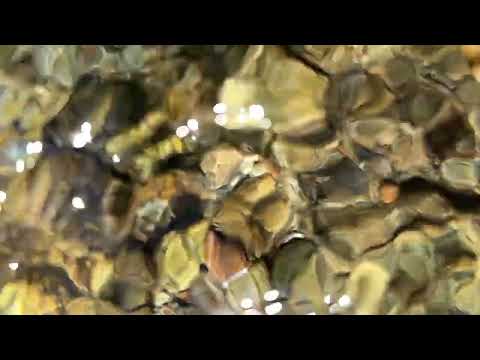 Colin Stetson and 2 more