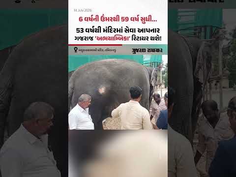 53 વર્ષથી મંદિરમાં સેવા આપનાર ગજરાજ 'અભયામ્બિકા' રિટાયર થશે! મદ્રાસ હાઈકોર્ટે ચુકાદો રાખ્યો અનામત 53 વર્ષથી મંદિરમાં સેવા આપનાર ગજરાજ 'અભયામ્બિકા' રિટાયર થશે! મદ્રાસ હાઈકોર્ટે ચુકાદો રાખ્યો અનામત