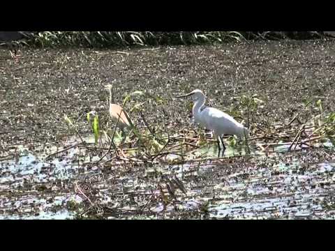 Луксор. Наследие великой культуры