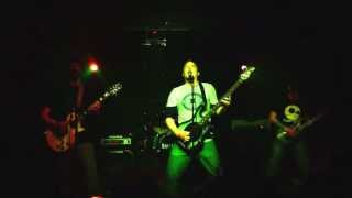 Ancient Elm - Bering Strait