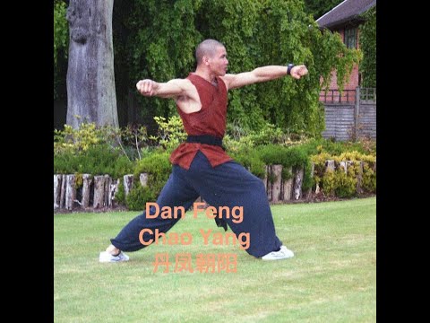Dan Feng Chao Yang