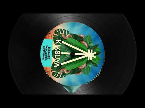 Robilardo - Dancefloor Spirit