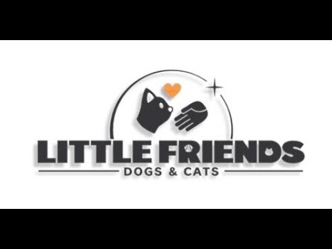 Little Friends: Dogs & Cats OST - Home 3