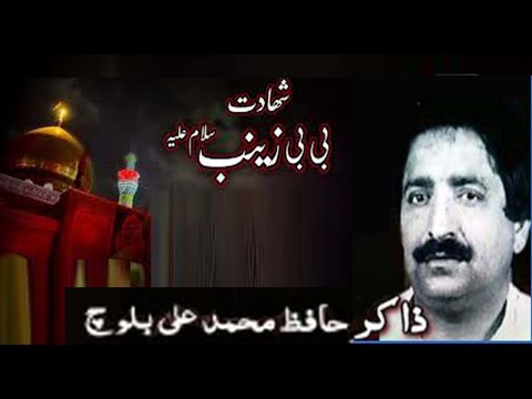 Zakir Hafiz Muhammad Ali Baloch.shahadat bibi zainab as.