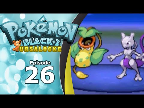 Pokémon Black 2 Randomized Ursalocke | Episode 26: "Ice Dude" and Team Makeover