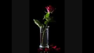 Karen Marie Garrett - The Rose in the Vase on the Table