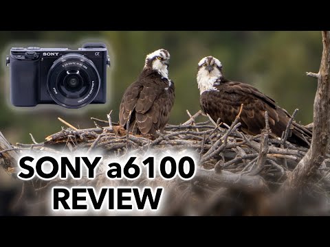 External Review Video wcutVgjAZWc for Sony A6100 APS-C Mirrorless Camera (2019)