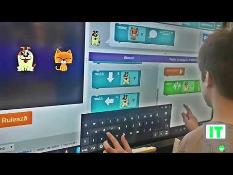 IT JUNIOR | curs programare copii