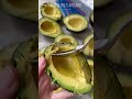 How To Freeze Avocados Without Turning Brown