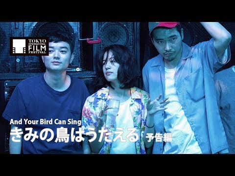 afbeelding Kimi no Tori wa Utaeru