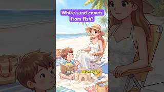 White sands come from fish?! Beach sands have a story behind them?