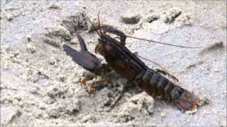 Maine 2014 on a music of Keren Ann (Between the Flatland and the Caspian Sea)