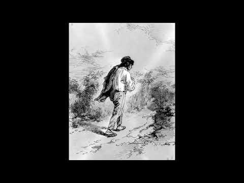 Edvin Fliser in Revijski orkester RTV Slovenija - Sončni popotnik