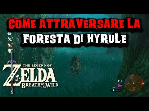 How to Traverse Hyrule Forest in The Legend of Zelda: Breath of the Wild