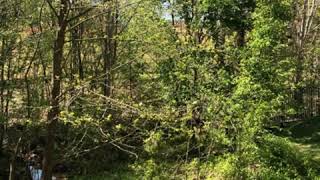 Cover art for ok im cool